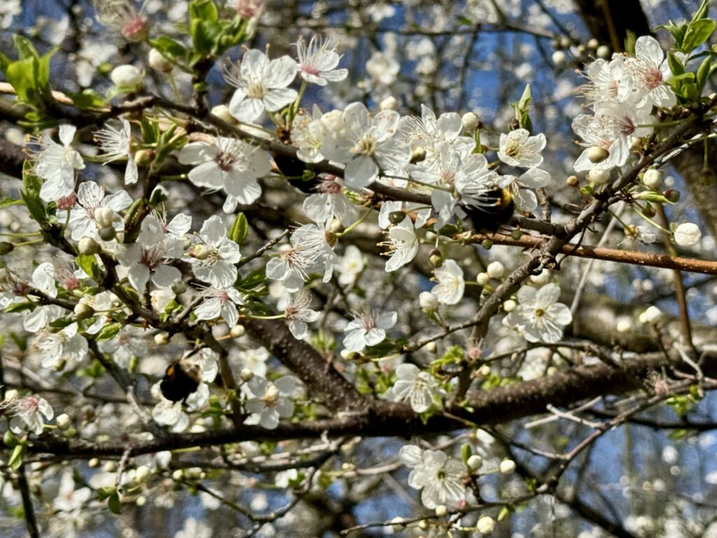 Frohe Ostern